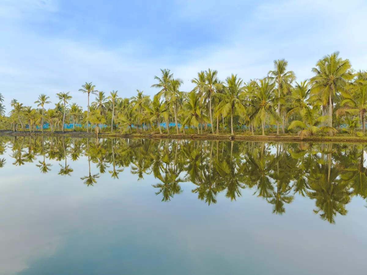 Ashtamudi Lake backwaters in Kerala Ashtamudi Lake backwaters in Kerala