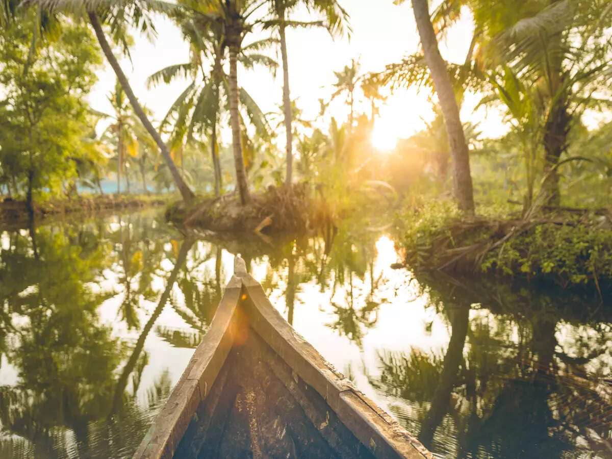 Backwaters in Kerala Backwaters in Kerala