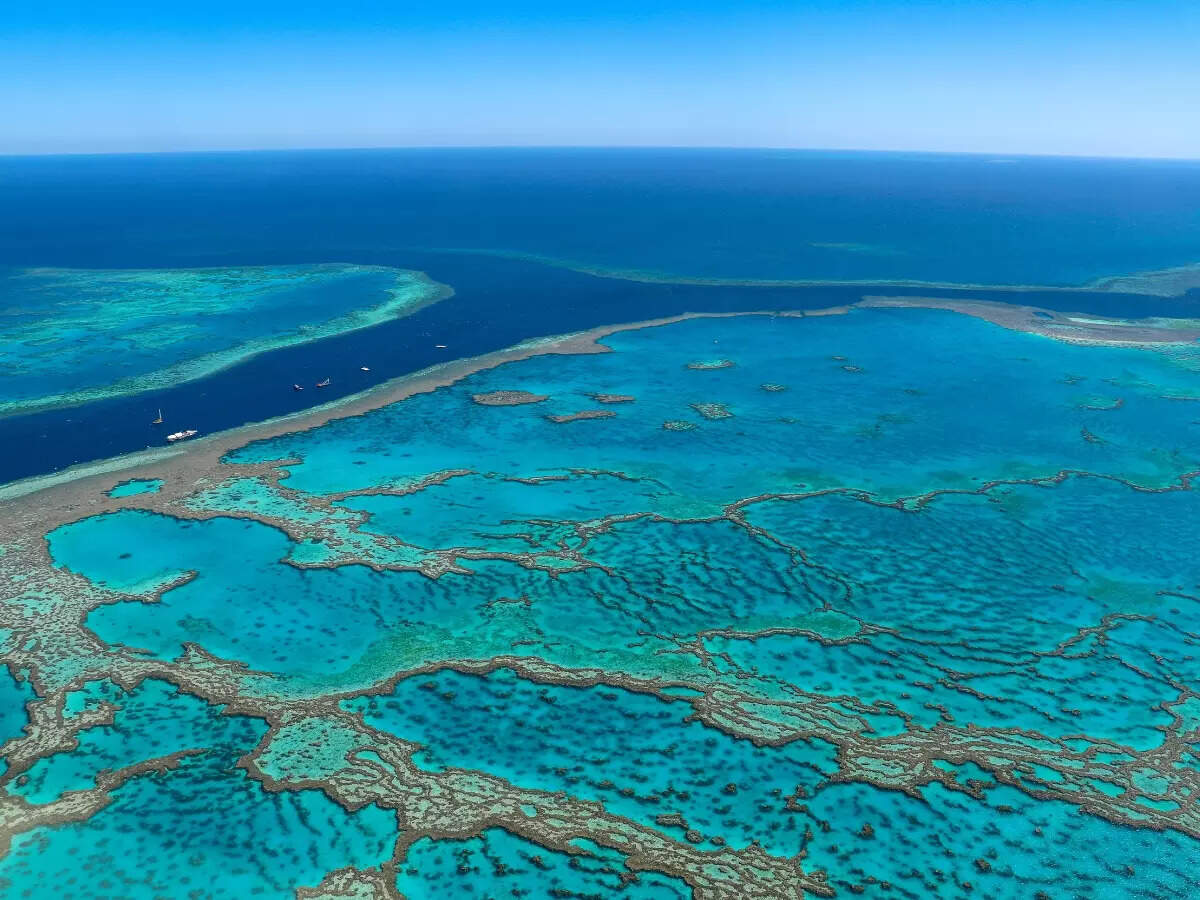 Great Barrier Reef in Queensland, Australia Great Barrier Reef in Queensland, Australia