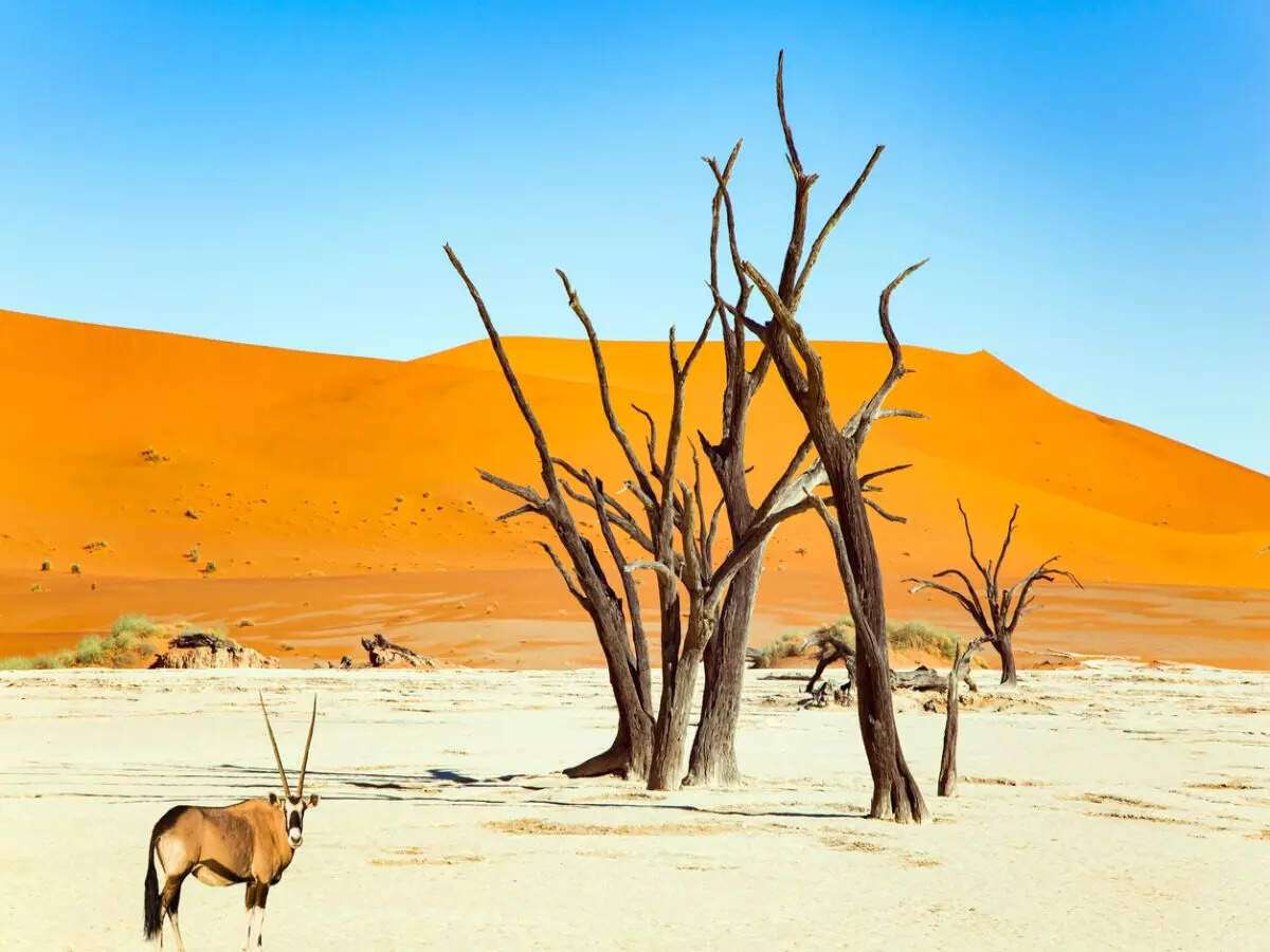 Namibia