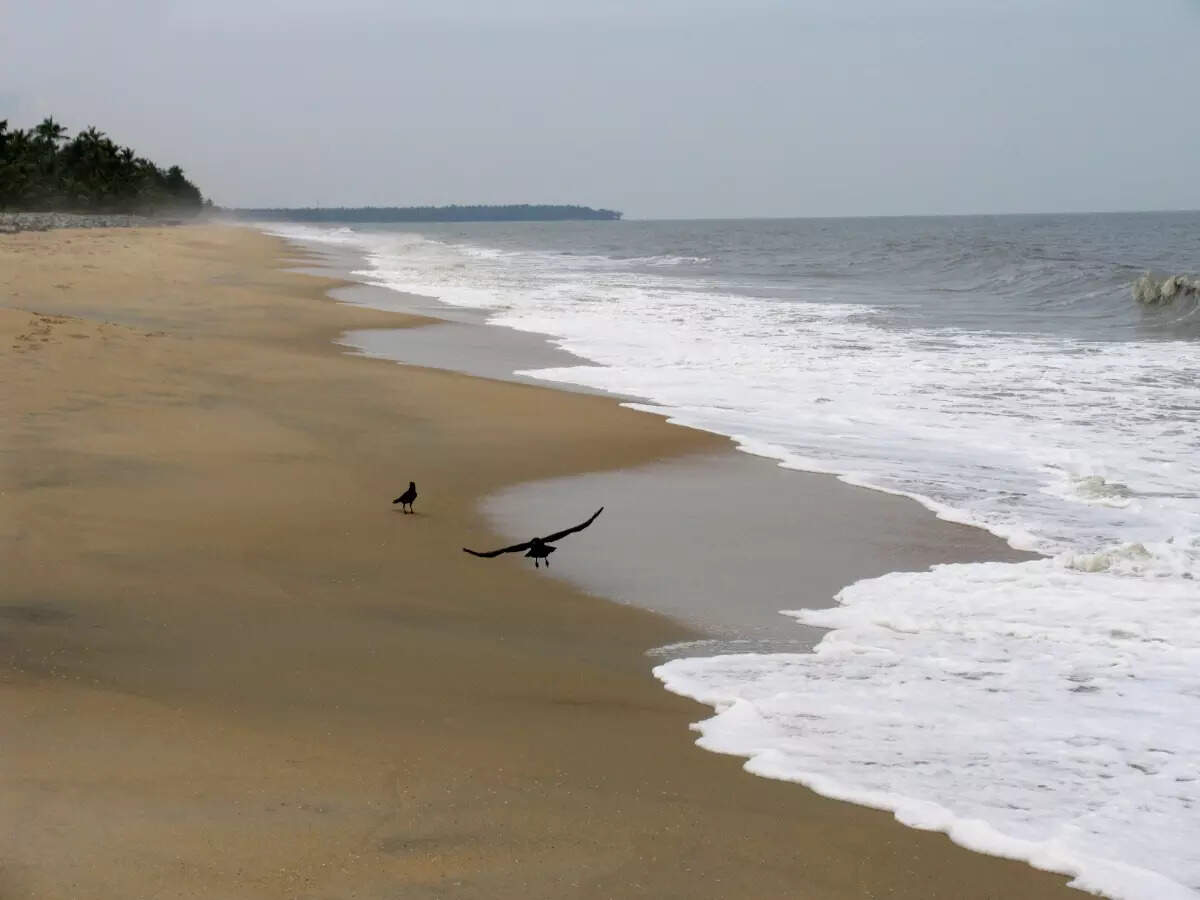 Kappad Beach in Kozhikode Kappad Beach in Kozhikode