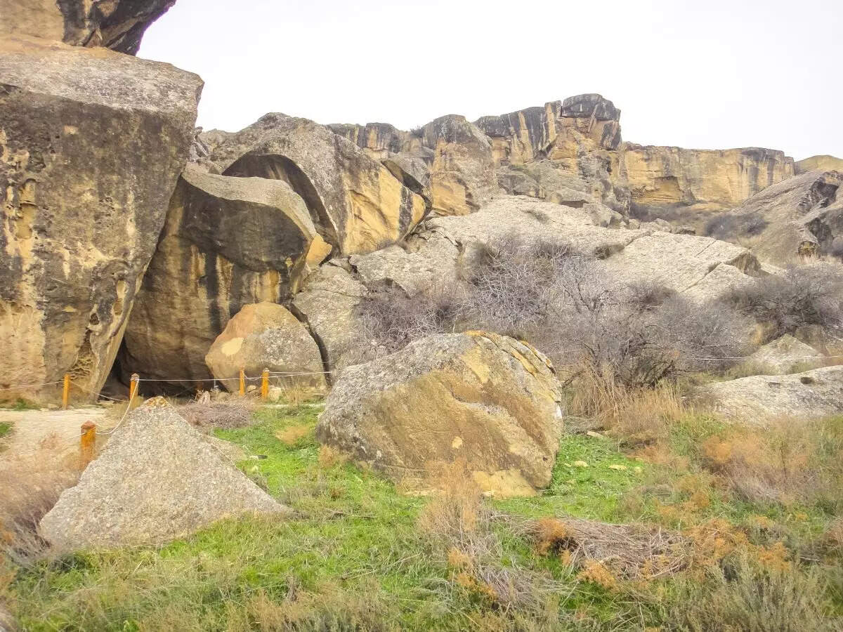 National park