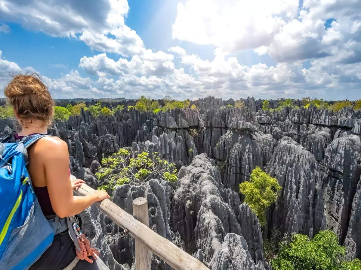 Tsingy de Bemaraha Tsingy de Bemaraha