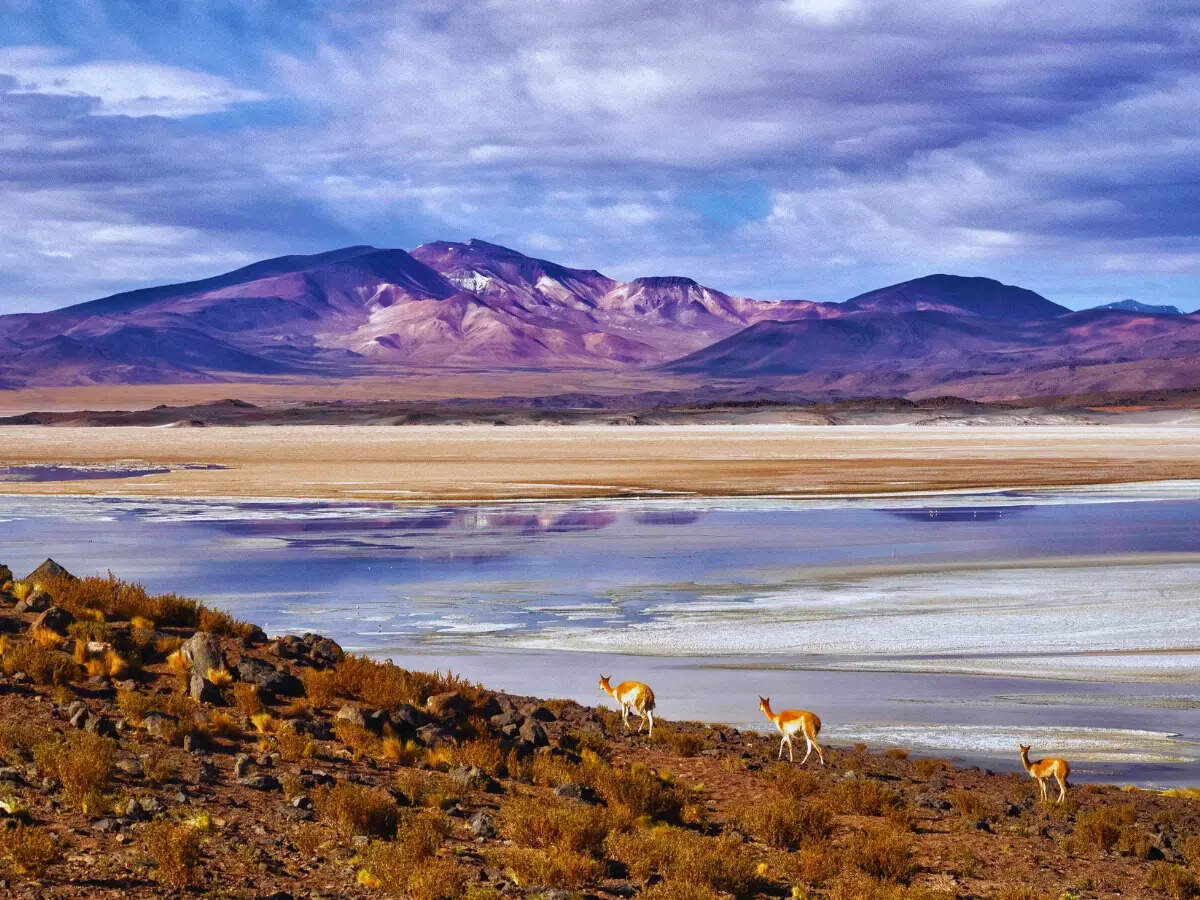 Atacama Desert landscape