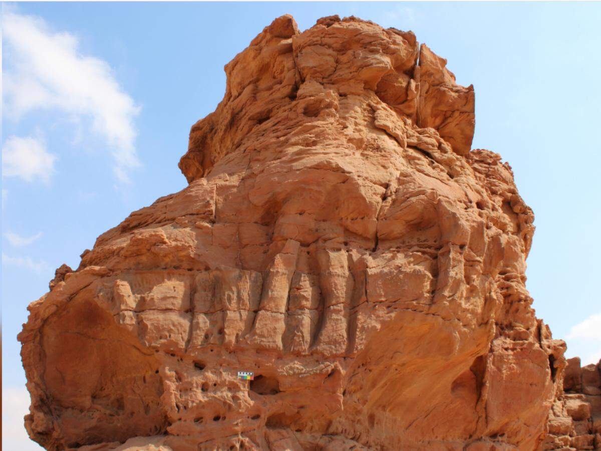 stone camels stone camels
