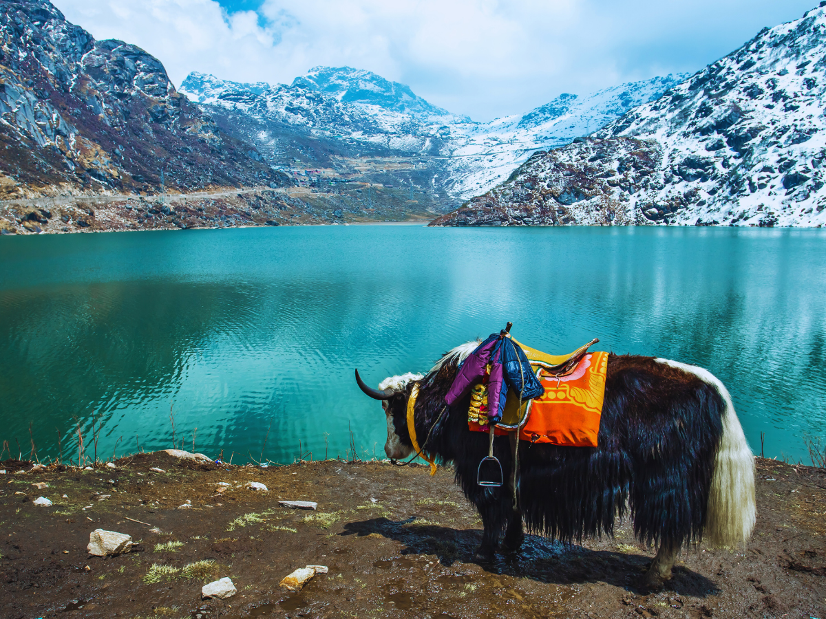 sikkim sikkim