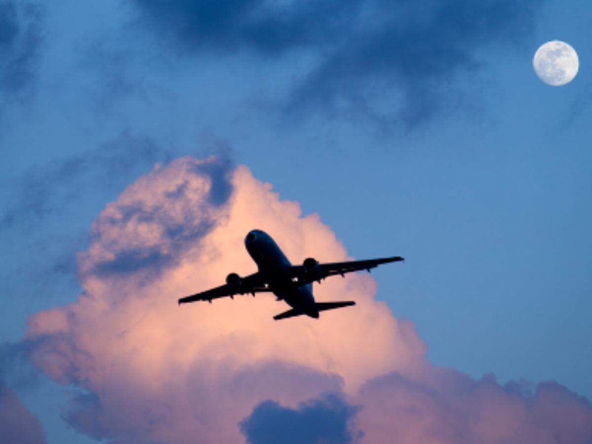 flight flight