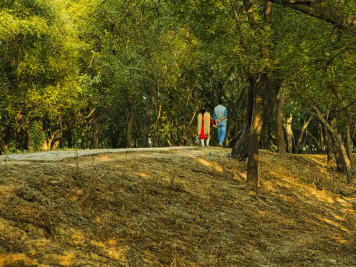 Sultanpur National Park