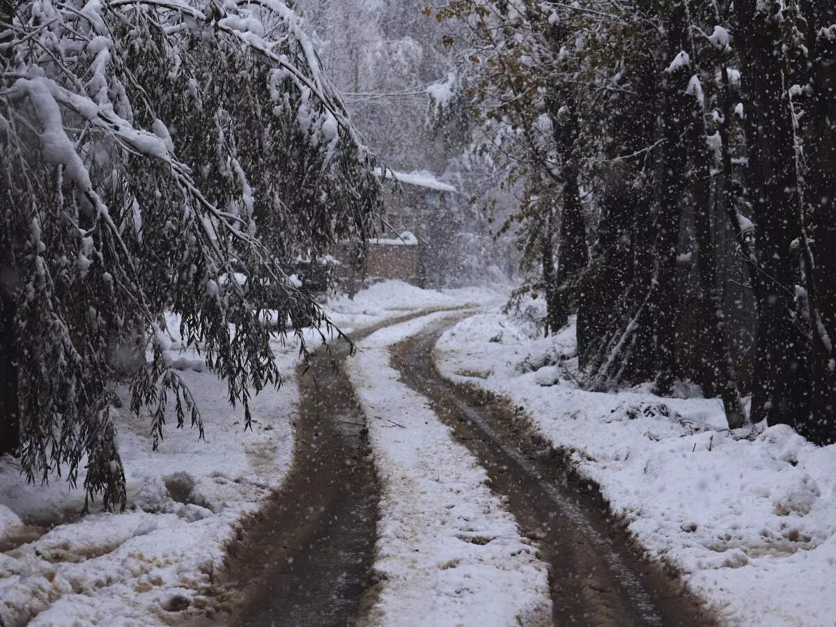 Snowfall in Kashmir