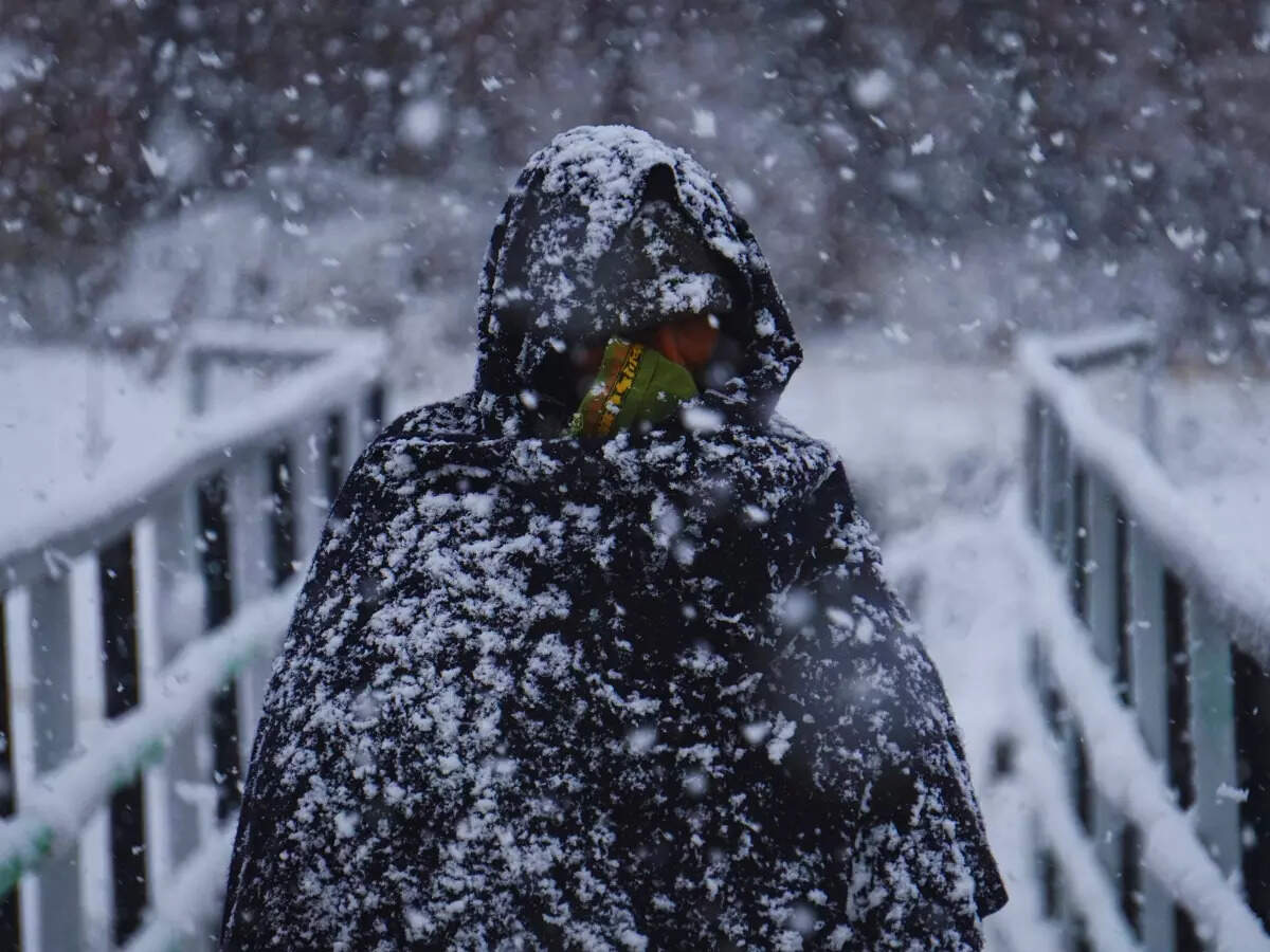Snowfall in Kashmir