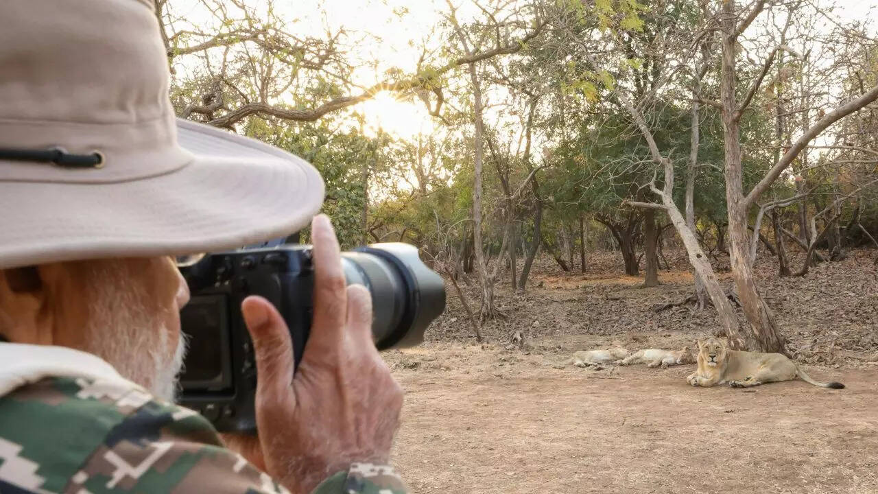 Wildlife photography