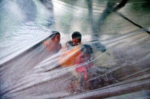 Monsoon flavour