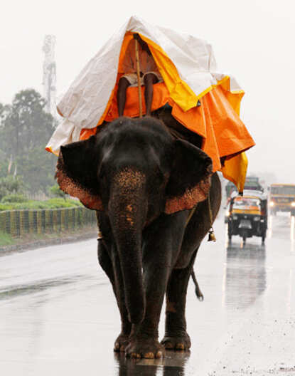 Monsoon flavour
