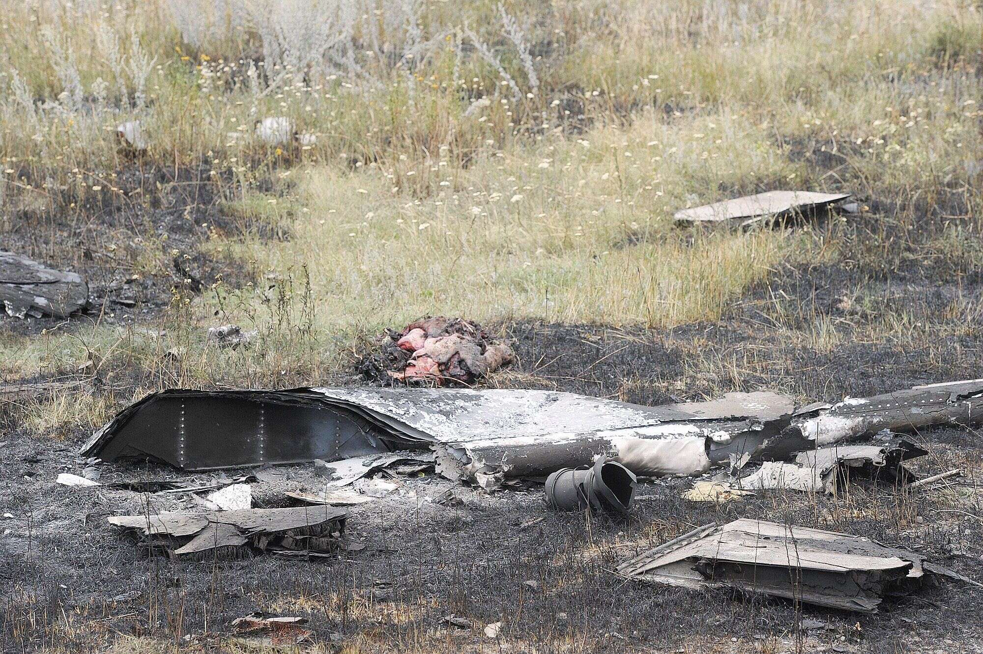 Malaysian airliner nosedives from 33,000 feet