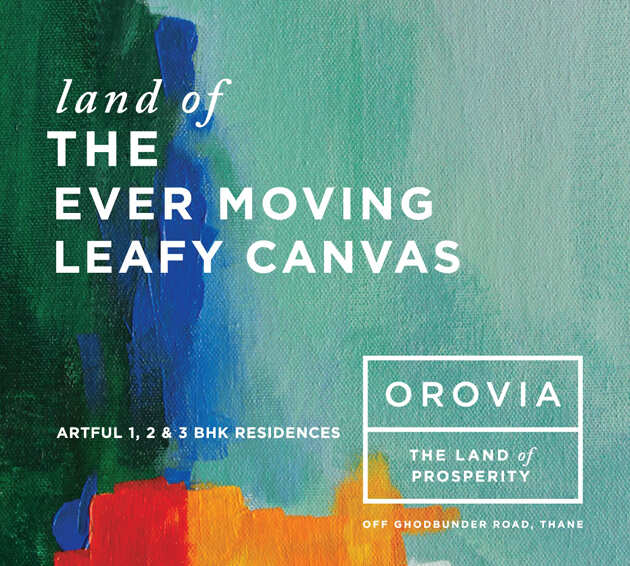 Land of the Leafy Canvas