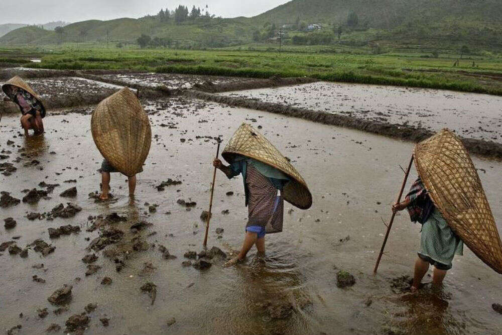 northeast india rains