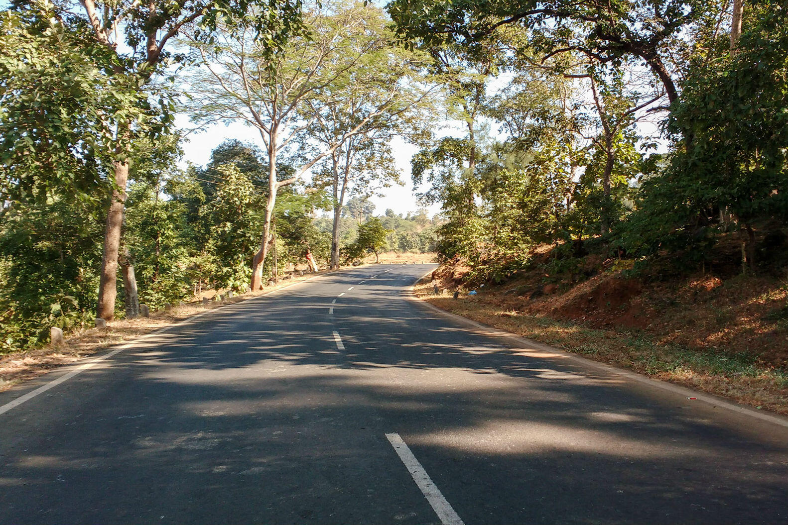 dadra and nagar