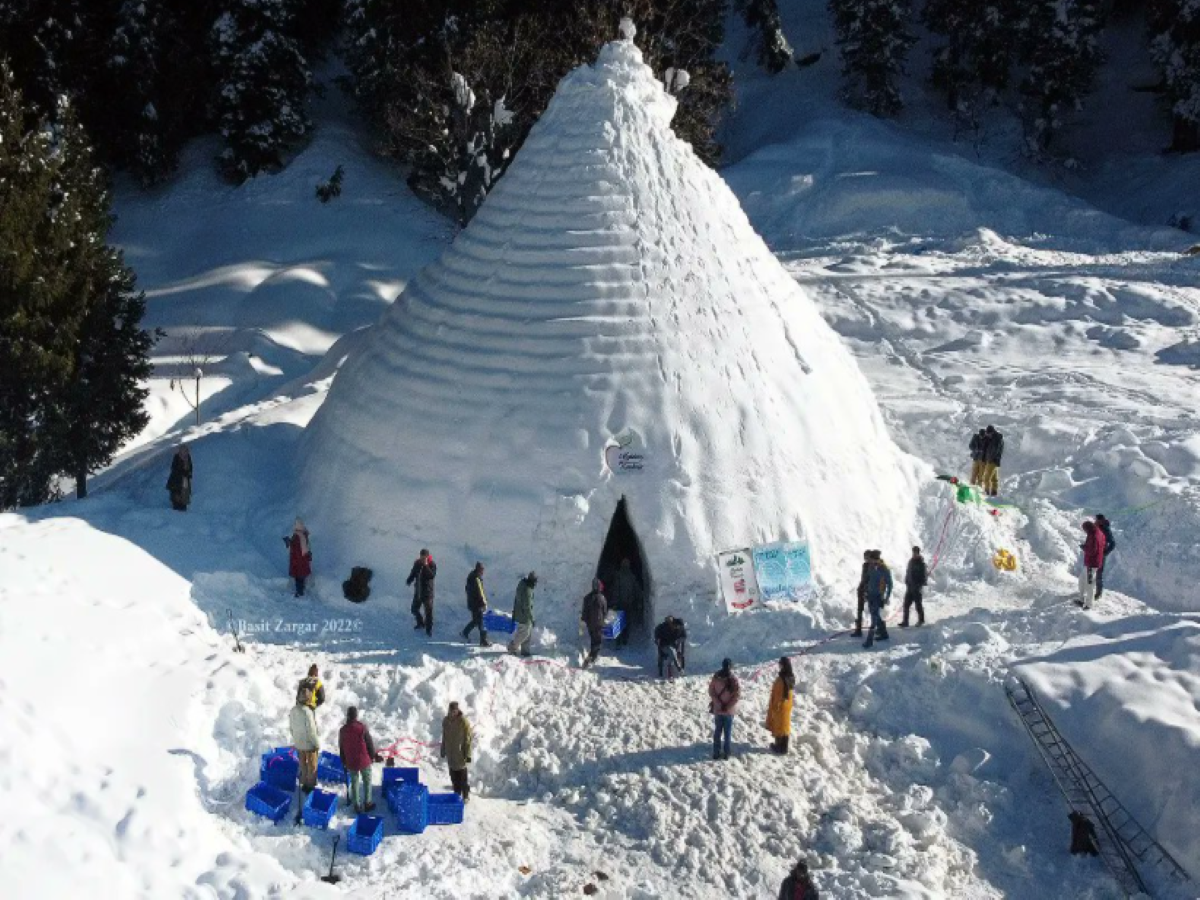 igloo cafe igloo cafe