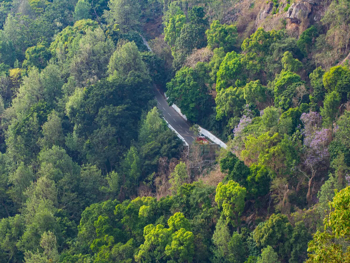 Yercaud road