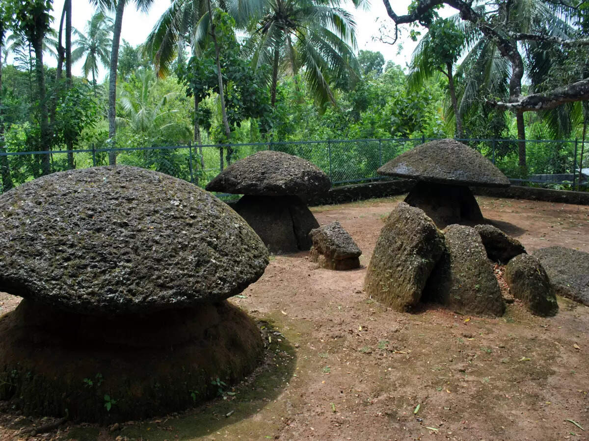 Kudakkallu Parambu megalithic burial site Kudakkallu Parambu megalithic burial site