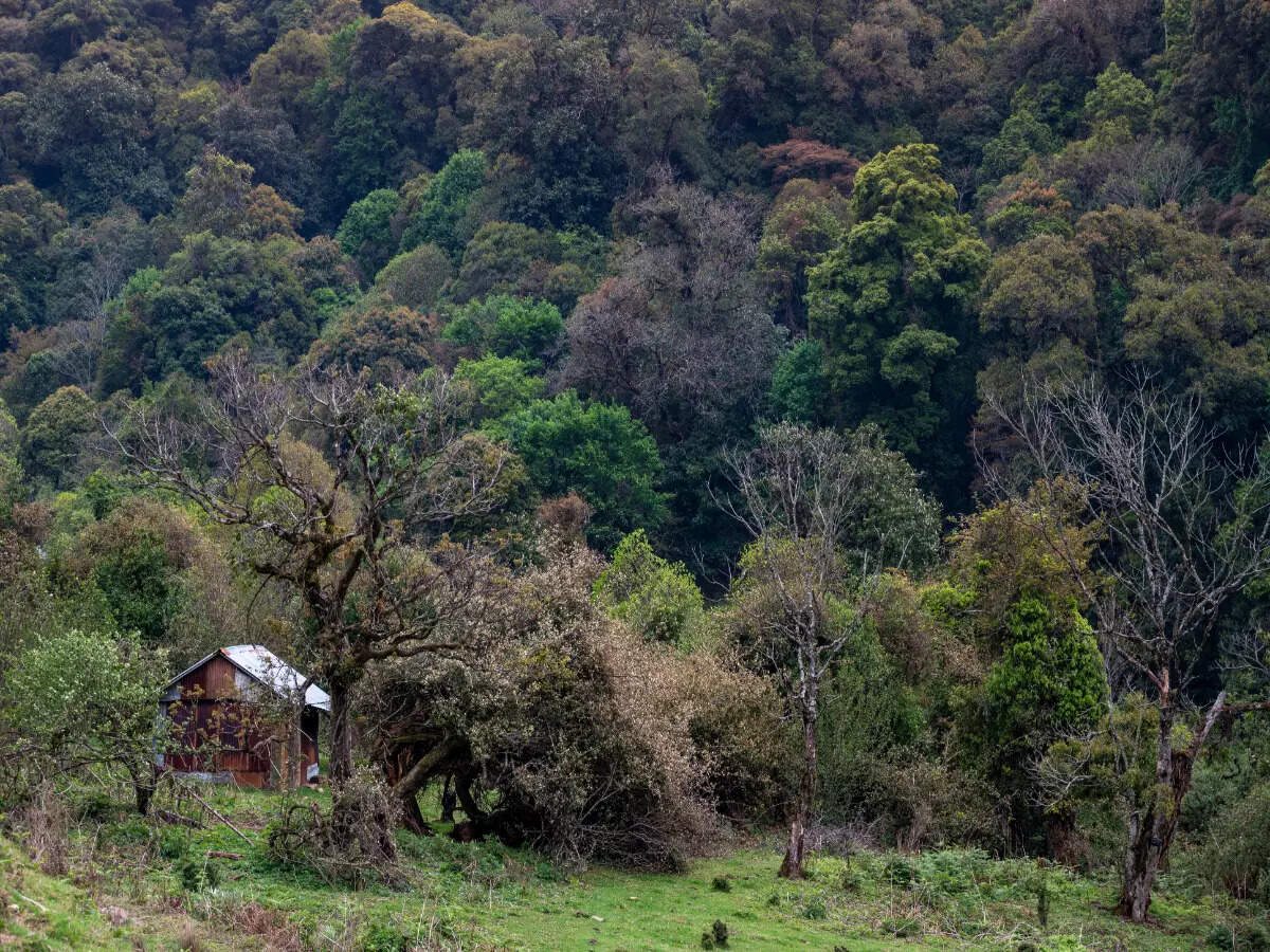 Khonoma Village, Nagaland Khonoma Village, Nagaland