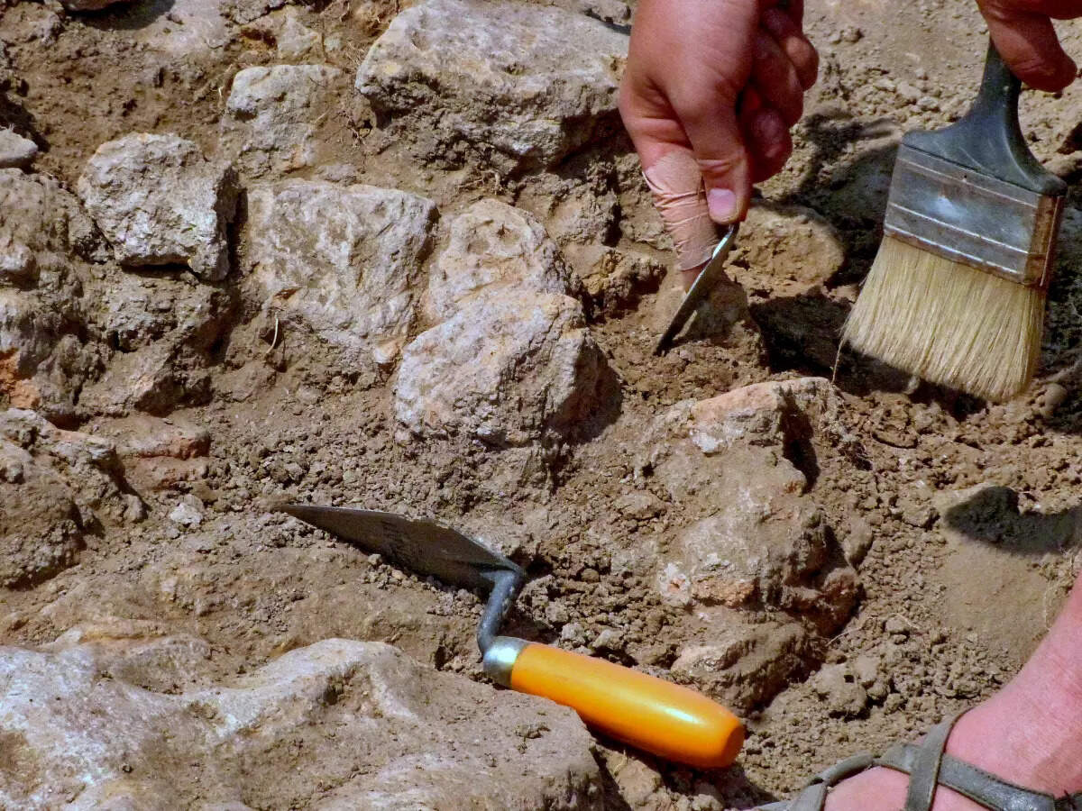 Archaeological dig