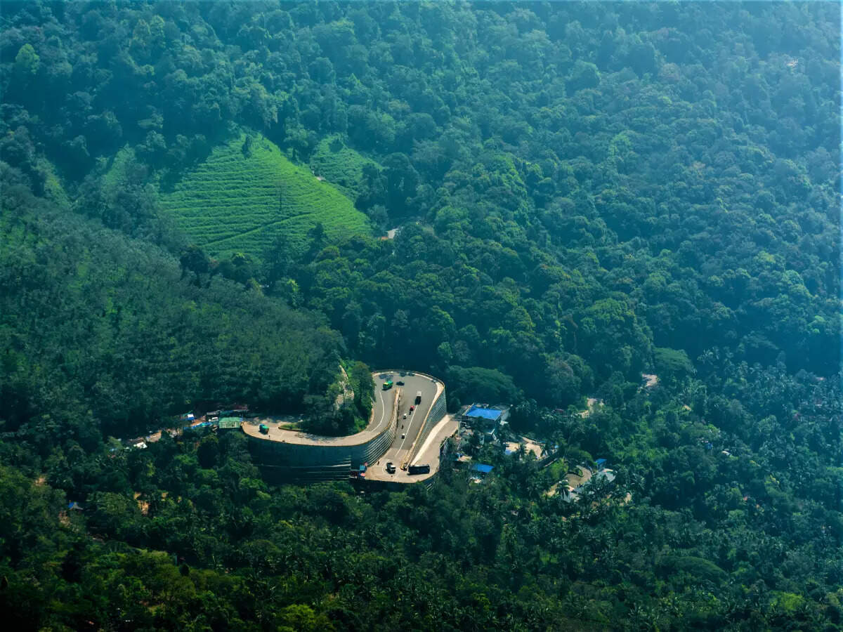 Lakkidi View Point