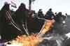 Yemen burns as Saleh plans to quit
