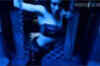 Yana Gupta: Murder 2