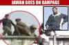 Shocking: Jawan kills two women in Poonch