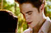The Twilight Saga: Breaking Dawn - Part 2