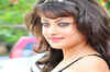 Sneha Ullal's sizzling hot photo shoot