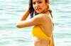 How will Anushka's career shape up in 2012?