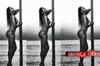 Nargis Fakhri's sizzling hot photo shoot