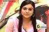 Satruvu: Press meet