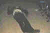 Two killed in UP train mishap