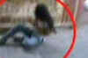 Pub attack: All accused get bail