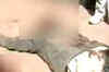 Shootout at UP court, five killed