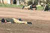 Gunmen attack Lahore police academy; at least 30 dead