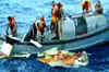 Air France crash: 17 more bodies recovered