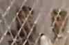 Batla House encounter: Clean chit to Delhi police