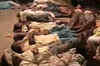 Gas leak in Maharashtra, over a hundred hospitalised