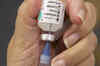 World races to develop swine flu vaccine