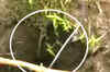 Karnataka: 4-year-old falls into borewell