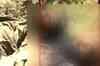 'Terrorists use codes for infiltration'