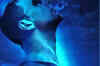 Blue - Review