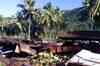 Another earthquake hits Samoa