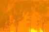 Emergency declared as fire rages in Australia