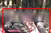 Three terrorists killed in Shopian encounter