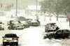 Winter storm paralyses US East Coast